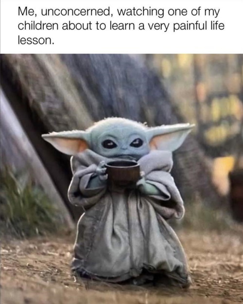 Baby Yoda - If you’re gonna be dumb, you gotta be tough